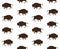 Vector seamless pattern of wild american bison silhouette