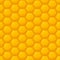 Vector seamless pattern with yellow honeycombs. Honey background.