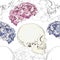 Vector seamless patterns with female skulls and colorful flowers