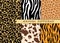 Vector seamless patterns set with animal skin texture. Repeating