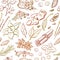 Vector seamless repetitive pattern of spices and herbs.