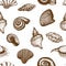 Vector seamless seashell pattern  on white. vintage Hand drawn background of various beautiful engraved mollusk