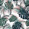 Vector seamless tropical pattern, vivid tropic foliage, with palm monstera leaves. Modern bright summer print design.