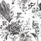 Vector seamless vintage floral pattern. Exotic flowers and birds.