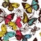 Vector seamless wallpaper with colorful butterflies