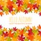 Vector seasonal illustration with watercolor maple leaves on white. Hello autumn colorful background