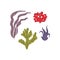 Vector seaweed icons isolated on whire. Sea coral and underwater marine plants.