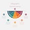 Vector semicircle template infographics startup business concept