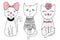 Vector series with cute fashion cats. Stylish kitten set.