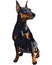 vector Serious dog Miniature Pinscher