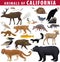 Vector set - animals of California