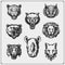 Vector set of animals head. Fox, wolf, tiger, rhino, bear, owl, leopard and lion.