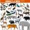 Vector set of animals of India