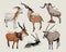 Vector set of antelopes, hand drawn sketch of animals