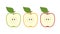 Vector set of apples. Vector half of apple. Apples vector illustration