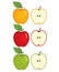 Vector Set of Apples. Vector Whole Apple and Half of Apple