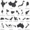 Vector set of asian maps with region borders, and also maps of Austealia and New Zealand