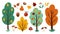 Vector set of autumn forest or garden fruit trees, plants, shrubs, bushes, mushrooms isolated on white background. Fall apple and