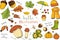 Vector set of autumn items. Cartoon colored isolated objects on a white background.