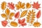 Vector set of Autumn Leaves