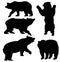 Vector set of bears. wild animals background.