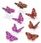 Vector set of beautiful butterflies in flight