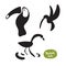 Vector set beautiful exotic birds of the Amazon rain forest. Toucan, hummingbird and flamingo doodle isolated silhouettes on white