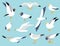 Vector set of beautiful seagulls in a flat style isolated on white background. Sea Gull, a beautiful bird. Cute bird in cartoon