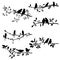 Vector set of birds at tree branches silhouettes