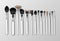 Vector Set of Black Clean Professional Makeup Concealer Powder Blush Eye Shadow Brow Brushes with White Handles Isolated
