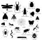 Vector set of black insects  silhouettes with text