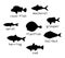 Vector set of black sea fish silhouettes with text