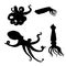 Vector Set of Black Silhouette Cephalopod Illustrations. Octopus, Cuttle and Squid