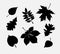 Vector set of black silhouettes of leaves on a white background.