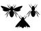 Vector set of black and white silhouettes of insects.