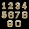 Vector Set of Bling numbers