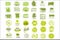 Vector set of bright green stickers with text for packing natural products. Vegan eating. Organic and healthy food signs