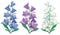 Vector set of bunch with outline Campanula or Bellflower or Bluebell flowers and bud in pastel blue, lilac and white isolated.