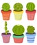 Vector set of cactus cacti aloe succulent plants in pot. Collection of flat styled hand drawn exotic houseplant.