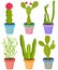 Vector set of cactus cacti aloe succulent plants in pot. Collection of flat styled hand drawn exotic houseplant.
