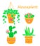 Vector set cactus houseplant flat