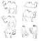 Vector set of camels