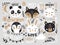 Vector set with cartoon animals - fox, bear, panda, bunny, penguin, cat, cute phrases and elements.