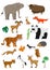 Vector Set Of Cartoon Asian Animals Isolated