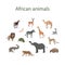 Vector set of cartoon cute African animals. Okapi, impala, camel, xerus, lion, chameleon, zebra, giraffe, lemur, cheetah