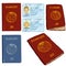 Vector Set of Cartoon Documents. Passports and Drivers ID.