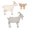 Vector Set of Cartoon Goats