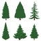 Vector Set of Cartoon Pine Trees on White Background