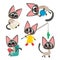 Vector set of cartoon siamese funny cats isolated on white