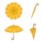 Vector Set of Cartoon Umbrellas. Different View and Variation